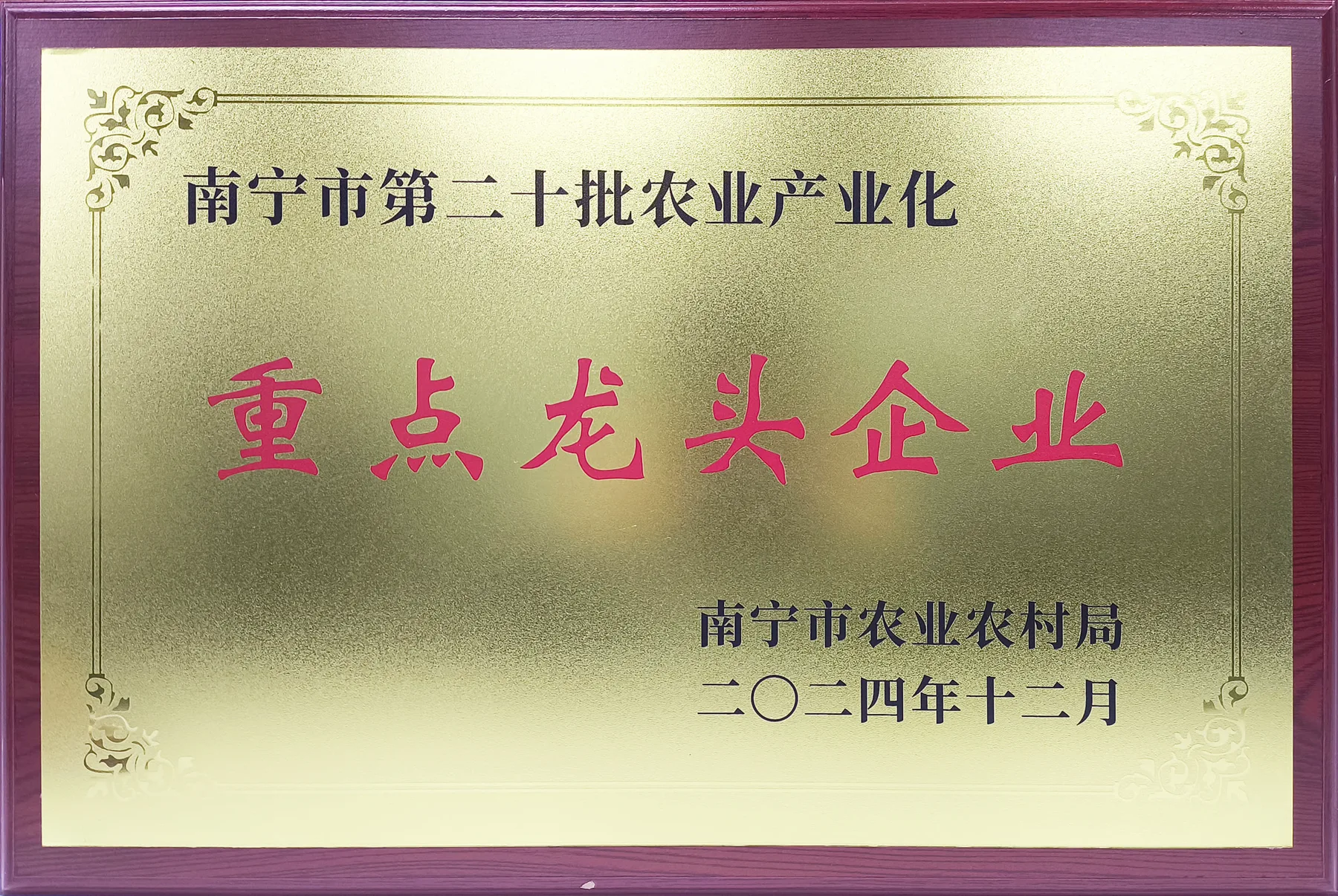荣誉证书6